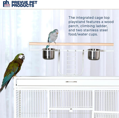 Pet Products Wrought Iron Select Bird Cage 3154C, Chalk White, 36-Inch by 24-Inch by 66-Inch