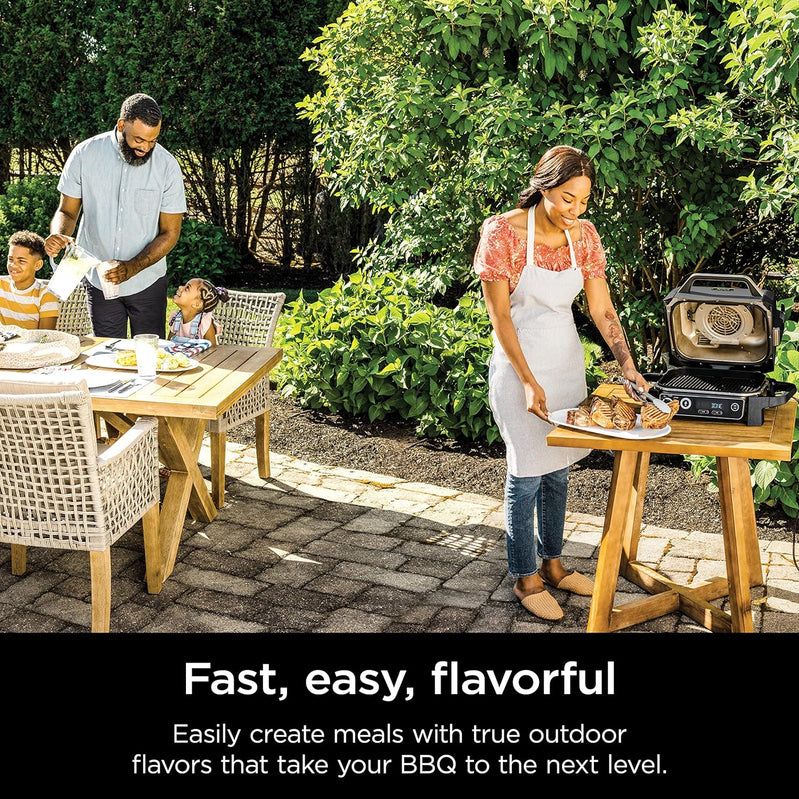 7-in-1 Grill & Smoker with Thermometer, Air Fryer, BBQ, Bake, Roast, Broil - Portable Electric Outdoor Grill, Grey