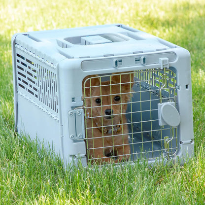 SportPet Designs Plastic Kennels Rolling Plastic Airline Approved Wire Door Travel Dog Crate, XXX-Large, Gray